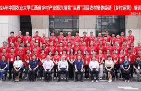 江西头雁之旅:百家争鸣天正蓝