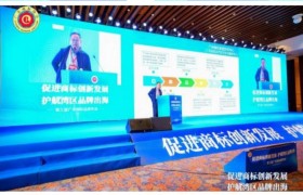 第三届广东商标品牌年会圆满落幕   共筑湾区品牌出海新格局