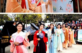 广州南沙区大岗镇以花为媒   链接产业未来! 2025第三届南沙樱花节正式开幕