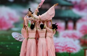 广州南沙区大岗镇以花为媒   链接产业未来! 2025第三届南沙樱花节正式开幕