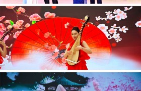 广迎天下客   共享世间春 2025第三届广州南沙樱花节正式开幕