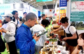 2025 中国昆明(国际)春茶周 在云南隆重举行