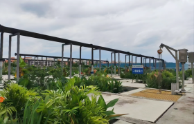 百名高新科技先锋人物|绿日环境朱钟霞   让草木、AI和人共同参与环境治理