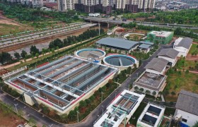 百名高新科技先锋人物|绿日环境朱钟霞   让草木、AI和人共同参与环境治理