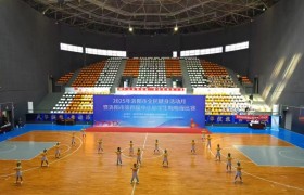 创意无限展风采  团队协作创佳绩 洛阳市洛龙区第八实验幼儿园(洛一高附小幼儿园)喜获市级一等奖